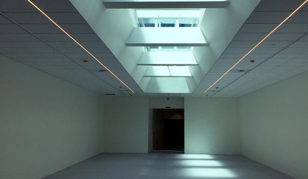 Carl Henning Pedersen og Else Alfelts Museum