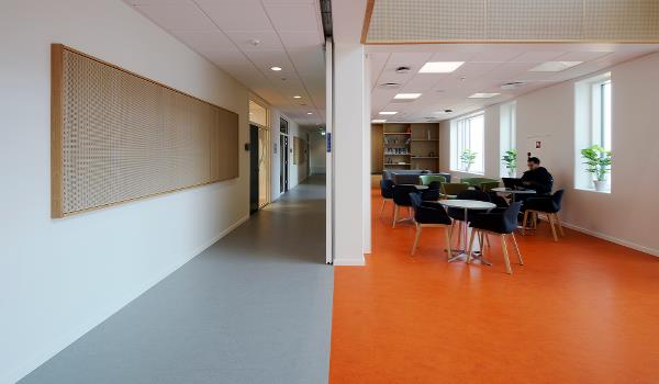 SDCS & LU Køge