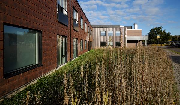 Plejecenter Lillevang