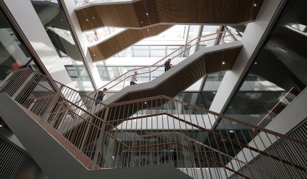 Vestskoven Gymnasium NEXT