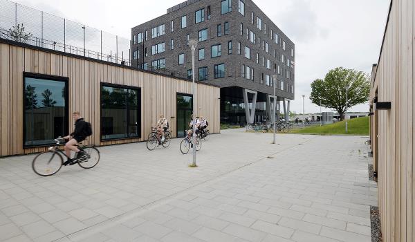 Vestskoven Gymnasium NEXT