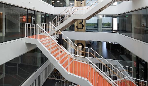 Vestskoven Gymnasium NEXT