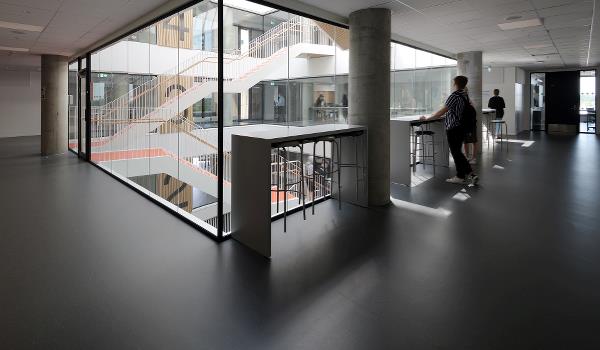 Vestskoven Gymnasium NEXT